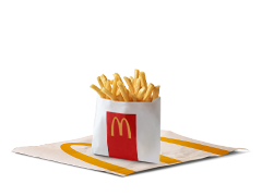 regular fries